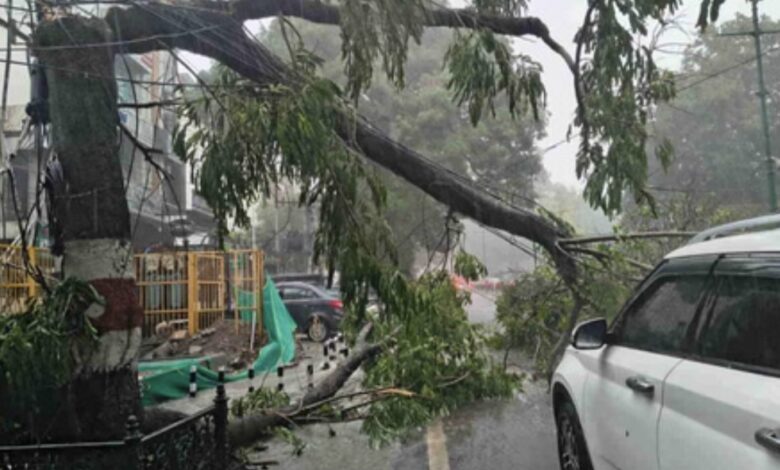 Dehardun Weather: मौसम ने दिखाए तीन रंग…डराया, सताया फिर दी राहत, झमाझम बारिश, तेज आंधी-तूफान से गिरे पेड़ Dehardun Weather: मौसम ने दिखाए तीन रंग…डराया, सताया फिर दी राहत, झमाझम बारिश, तेज आंधी-तूफान से गिरे पेड़