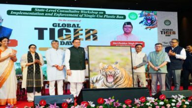 Uttarakhand News- विश्व बाघ दिवस: CM धामी ने दिया बड़ा संदेश, बोले- ‘जंगल बचेंगे तो बाघ बचेंगे’, प्लास्टिक के खिलाफ छेड़ी मुहिम… Uttarakhand News- विश्व बाघ दिवस: CM धामी ने दिया बड़ा संदेश, बोले- ‘जंगल बचेंगे तो बाघ बचेंगे’, प्लास्टिक के खिलाफ छेड़ी मुहिम…