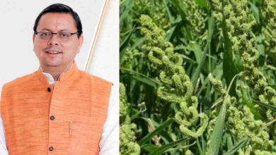 Uttarakhand News: CM धामी का बड़ा दावा: कहा नहीं, करके दिखाया… उत्तराखंड में लागू की स्टेट मिलेट पॉलिसी….. Uttarakhand News: CM धामी का बड़ा दावा: कहा नहीं, करके दिखाया… उत्तराखंड में लागू की स्टेट मिलेट पॉलिसी…..